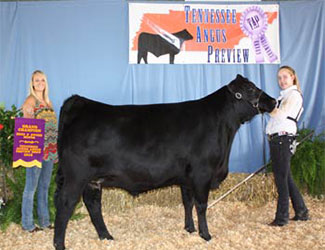 Grand Champion Bred-and-Owned Female