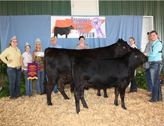 Grand Champion Cow/Calf Pair