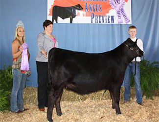 Owned Senior Heifer Calf Champion
