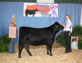 Reserve Grand Champion Bred-and-Owned Female