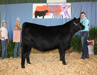 Reserve Grand Champion Owned Female