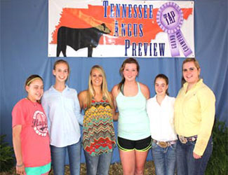 Tennessee Junior Angus Association Board