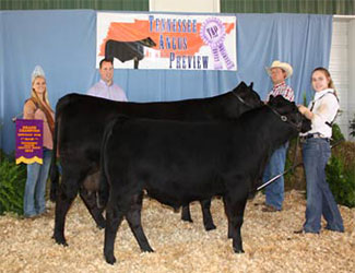 Grand Champion Cow/Calf Pair