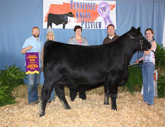 Grand Champion Owned Female