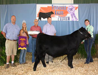 2016 Tennessee Angus Association Preview Show