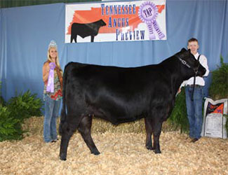 Owned Intermediate Champion Heifer