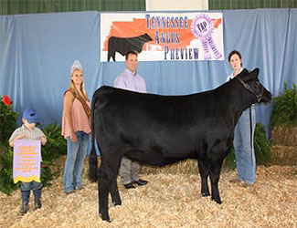 Owned Reserve Junior Champion Heifer