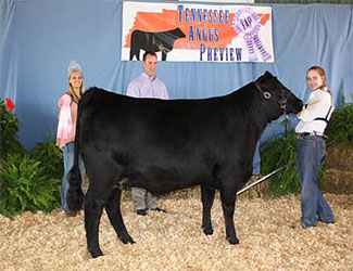 Owned Reserve Senior Champion Female