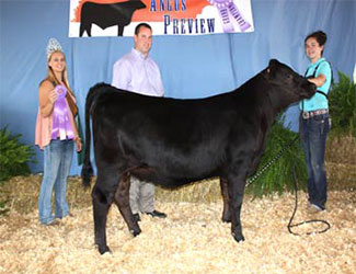 Owned Senior Heifer Calf Champion