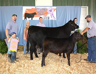 Reserve Grand Champion Cow/Calf Pair