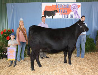 Reserve Grand Champion Owned Female