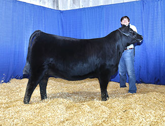 Owned Reserve Junior Champion Heifer