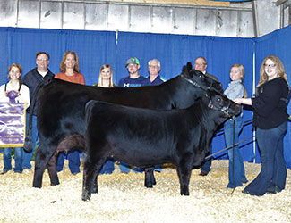 2016 Tennessee Angus Association Preview Show
