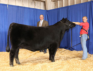 Reserve Grand Champion Owned Female