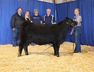 Reserve Grand Champion Bred-and-owned Female