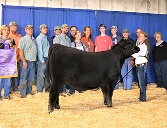 Grand Champion Owned Female