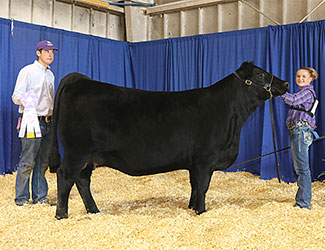 Owned Senior Champion Female