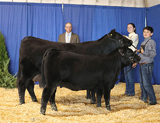 Grand Champion Bred-and-owned Cow-calf Pair