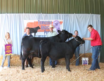 Grand Champion Owned Cow-calf Pair