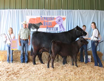 Reserve Grand Champion Owned Cow-calf Pair