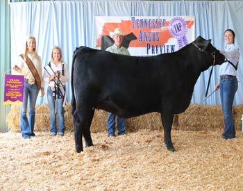 Grand Champion Bred-and-owned Female