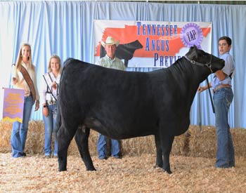 Reserve Grand Champion Bred-and-owned Female