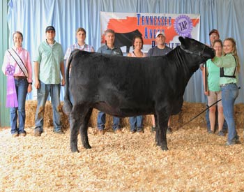 Owned Junior Champion Heifer