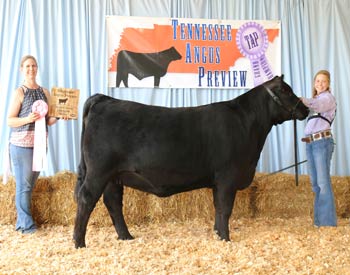 Owned Reserve Junior Champion Heifer