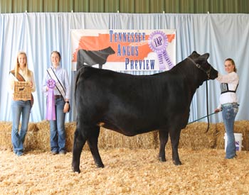 Bred-and-owned Junior Champion Heifer