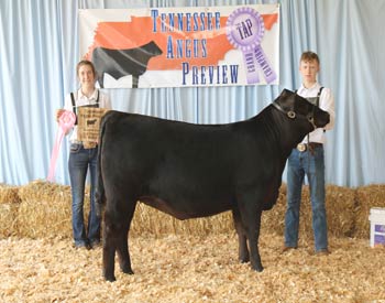 Owned Reserve Senior Heifer Calf Champion