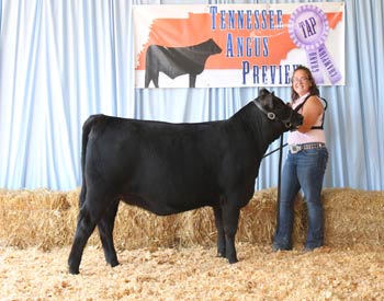 Bred-and-owned Heifer Calf Champion