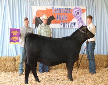 Grand Champion Owned Female