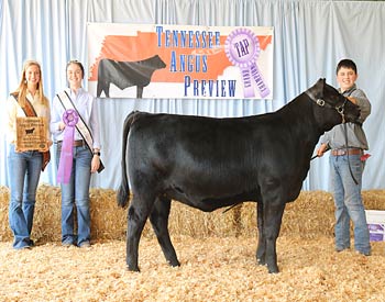 Bred-and-owned Late Senior Heifer Calf Champion