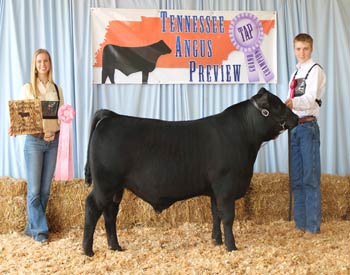 Bred-and-owned Reserve Bull Calf Champion
